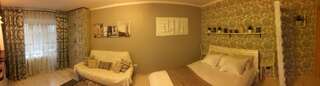 Апартаменты Studio Apartment SELENA Брест Апартаменты с балконом-26